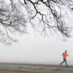 A runner in Richmond Park on Sunday morning. Pic: PA