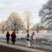 Walkers in Richmond Park on Sunday morning. Pic: PA