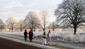 Walkers in Richmond Park on Sunday morning. Pic: PA