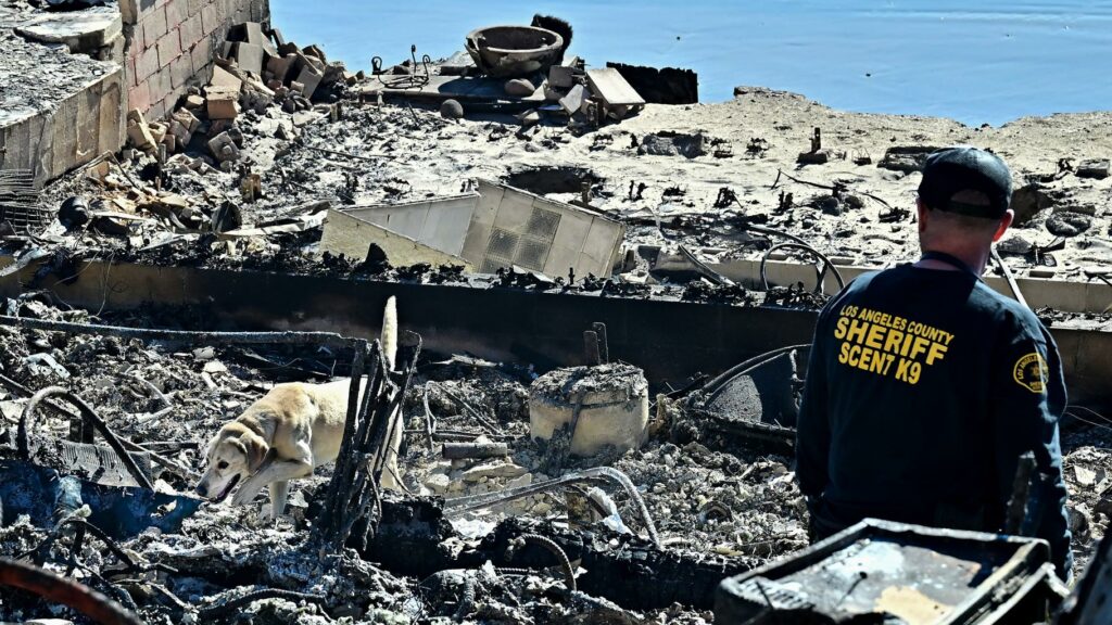 Incendies de Los Angeles : quel est le bilan alors que les feux font rage depuis une semaine ?