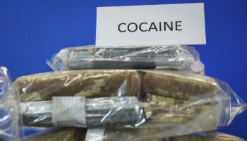 Près de 47 tonnes de cocaïne saisies en France sur les 11 premiers mois de 2024, un « record »