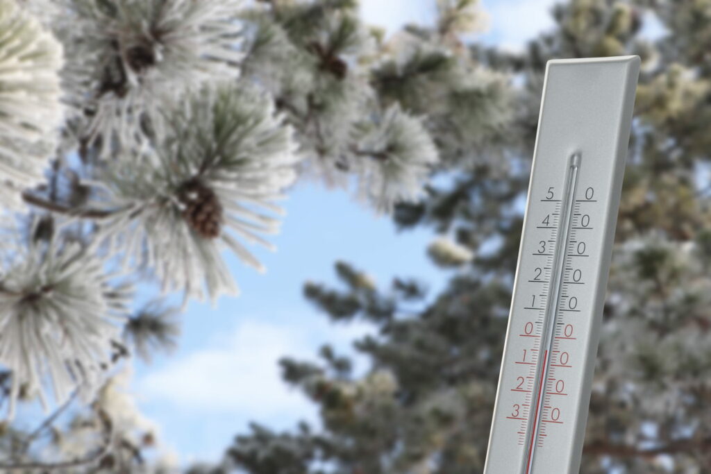 Le coup de froid dure ! Jusqu'à cette date, les températures sont glaciales en France