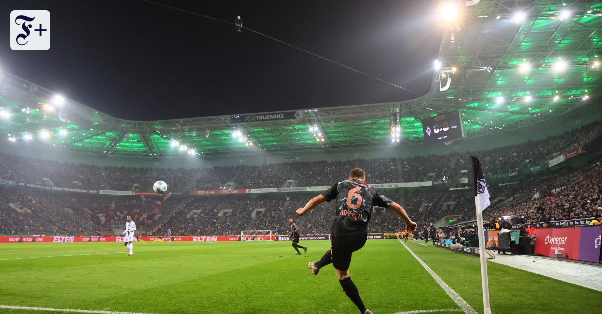 DFL-Chef Lenz im Gespräch: Der Business-Plan für die Bundesliga