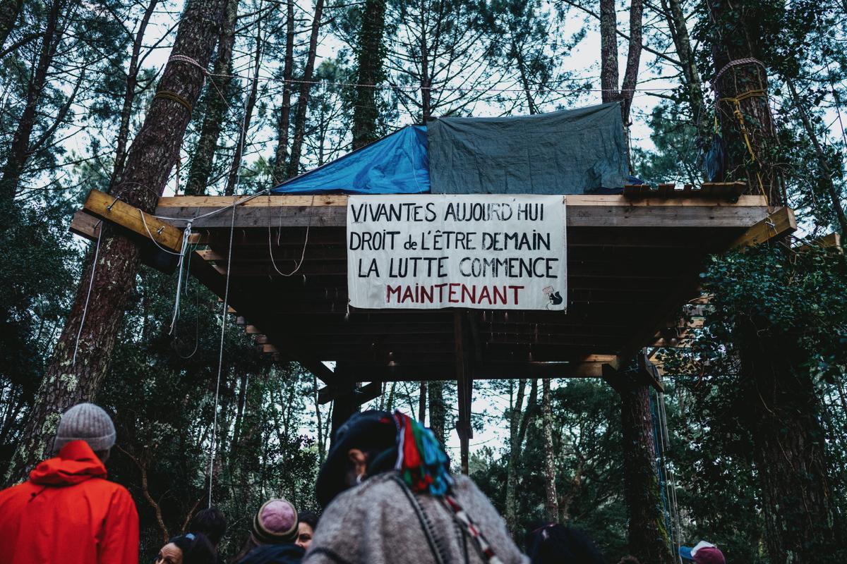 Dans les Landes, les « écureuils » mobilisés contre les travaux d’une ligne très haute tension franco-espagnole