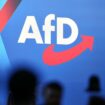 Wahlkampf: Kriminalpolizei ermittelt gegen AfD wegen "Abschiebetickets"