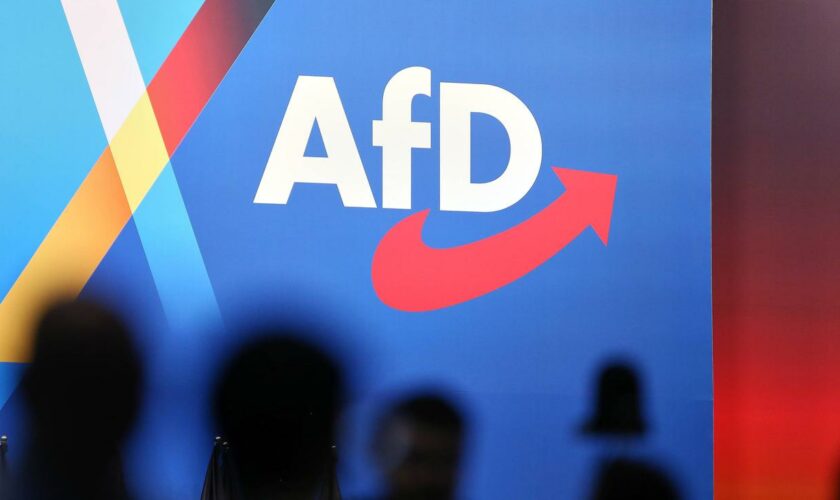 Wahlkampf: Kriminalpolizei ermittelt gegen AfD wegen "Abschiebetickets"