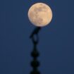 “Lune du loup” : ce que la nuit du 13 janvier réserve aux astronomes amateurs