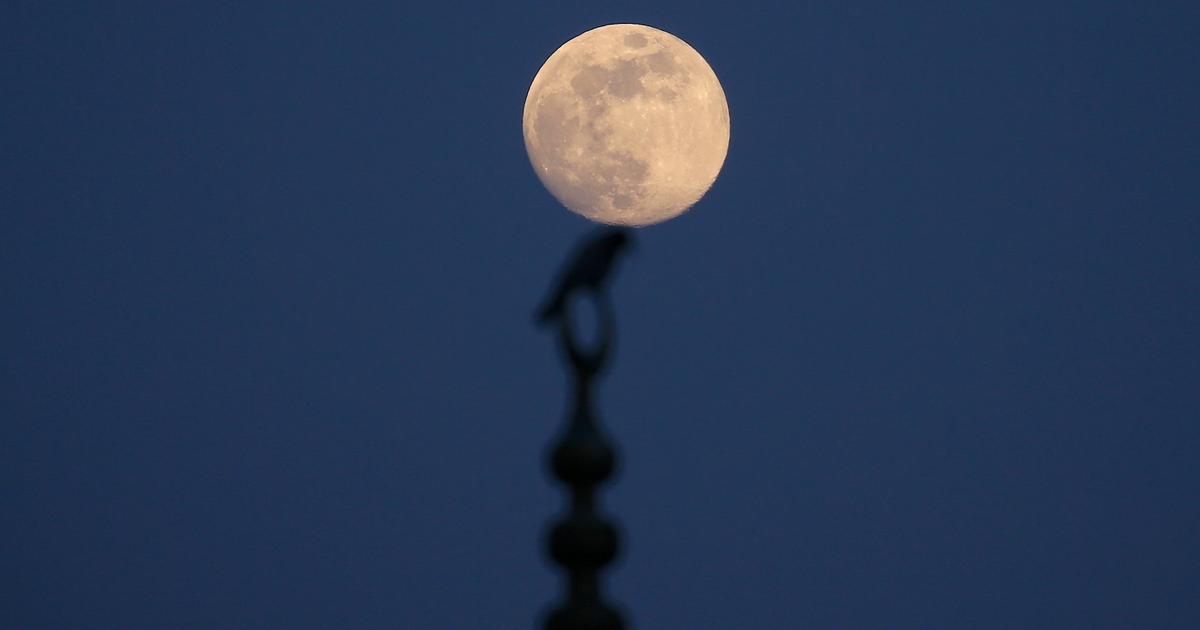 “Lune du loup” : ce que la nuit du 13 janvier réserve aux astronomes amateurs