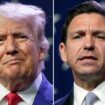 DeSantis picks a side in MAGA’s visa civil war: ‘We’ve got some big problems’