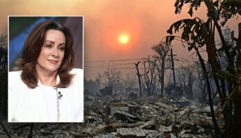 Patricia Heaton says LA fires prove ‘we can’t just rely on the government’