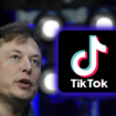 TikTok banni aux USA en fin de semaine : comment Elon Musk pourrait bien bouleverser la situation