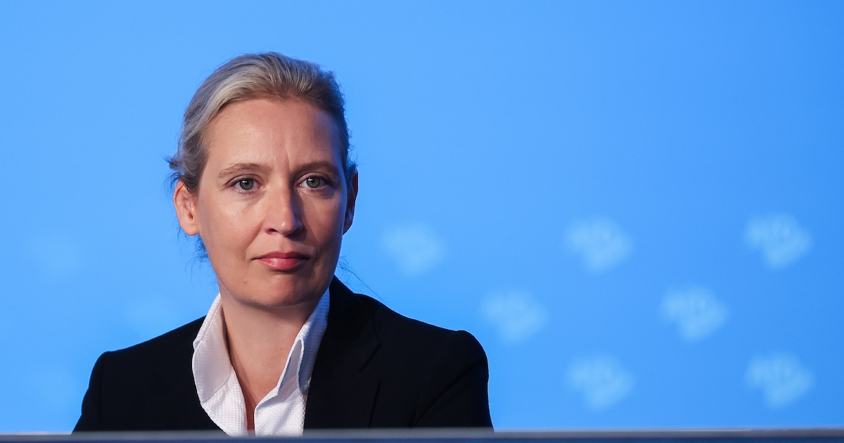 La co-cheffe du parti AfD Alice Weidel, le 5 août 2023 à Magdebourg, dans l'est de l'Allemagne