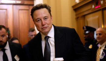 Le PDG de Tesla Elon Musk, ici à Washington le 5 décembre 2024.