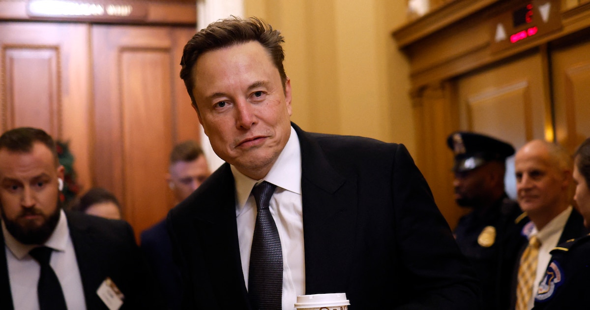 Le PDG de Tesla Elon Musk, ici à Washington le 5 décembre 2024.