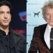 David Schwimmer recalled an odd encounter with Sir Rod Stewart. Pics: AP/PA