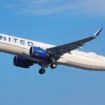 United Airlines flight returns to Chicago after hitting coyote