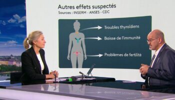 PFAS : quels sont les effets des polluants éternels sur notre corps ?