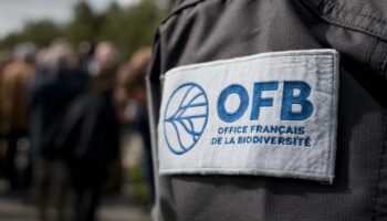 « Des dealers » : la comparaison de cet agent de l’OFB avec les agriculteurs fait bondir droite et extrême droite