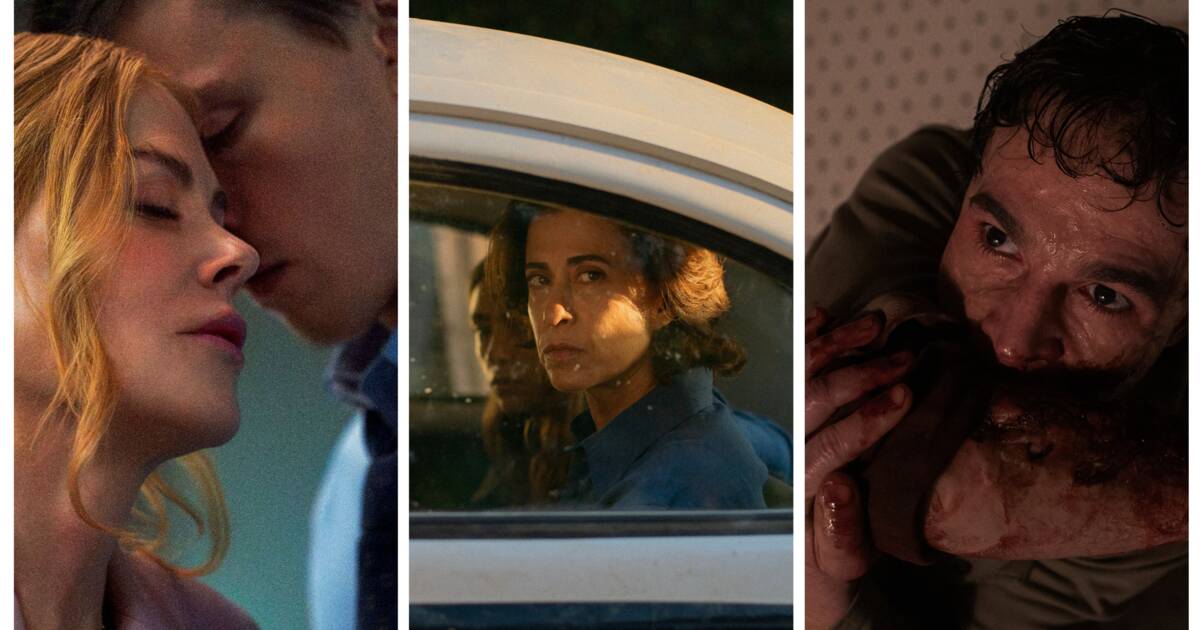 Nos critiques des sorties cinéma de la semaine : «Je suis toujours là», «Babygirl», «Wolf Man», «Sept promenades avec Mark Brown»...