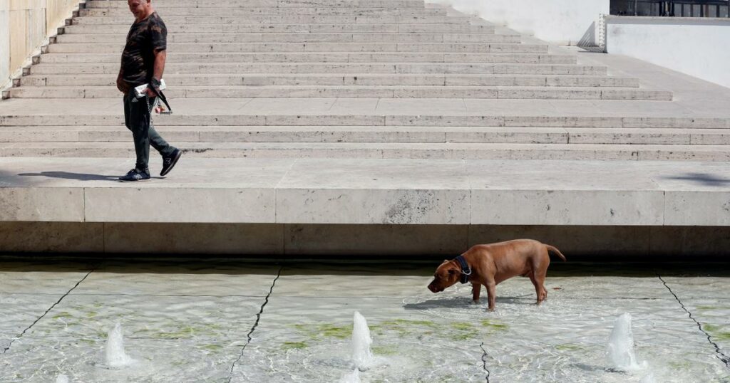 En Italie, les musées gardent votre chien gratuitement pendant votre visite