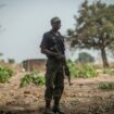 Lakurawa, ce groupe armé émergent qui terrorise Nigeria et Niger