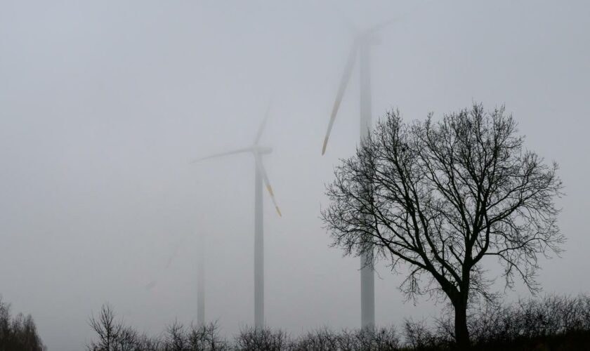 Windkraft: Vattenfall-Chef rät der AfD in Energiefrage zum Faktencheck