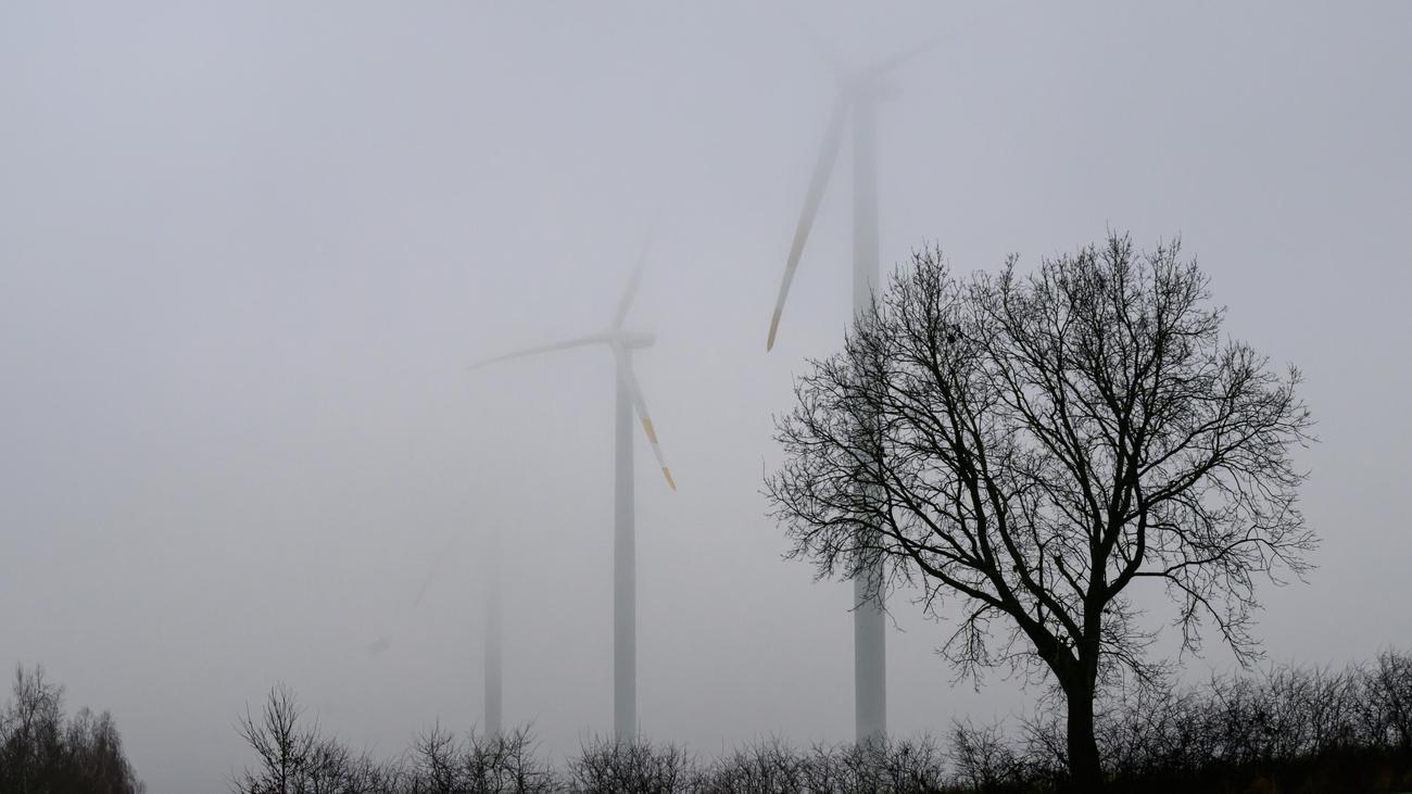 Windkraft: Vattenfall-Chef rät der AfD in Energiefrage zum Faktencheck