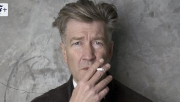 Und drinnen schnuppern die Hasen: Zum Tod von David Lynch