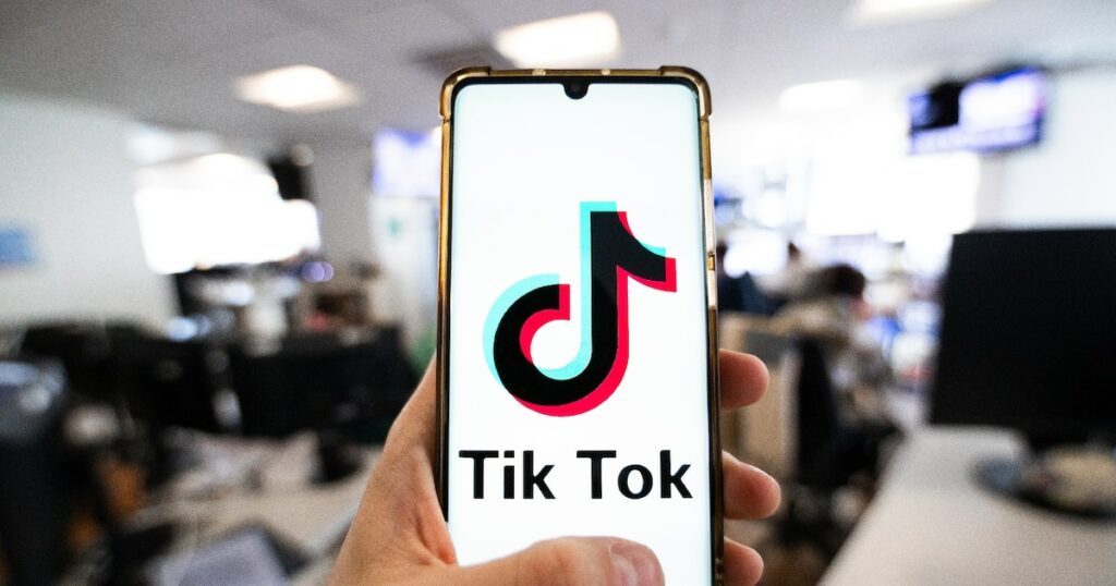 Les procureurs de quatorze Etats américains ont assigné TikTok en justice le 8 octobre 2024, accusant le réseau social de porter atteinte à la santé mentale de ses jeunes utilisateurs et de collecter des données personnelles sans autorisation