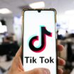 Les procureurs de quatorze Etats américains ont assigné TikTok en justice le 8 octobre 2024, accusant le réseau social de porter atteinte à la santé mentale de ses jeunes utilisateurs et de collecter des données personnelles sans autorisation