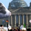 Agrarprotest: Landwirte fordern bei Großdemonstration mehr politische Unterstützung