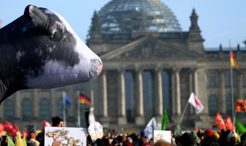 Agrarprotest: Landwirte fordern bei Großdemonstration mehr politische Unterstützung