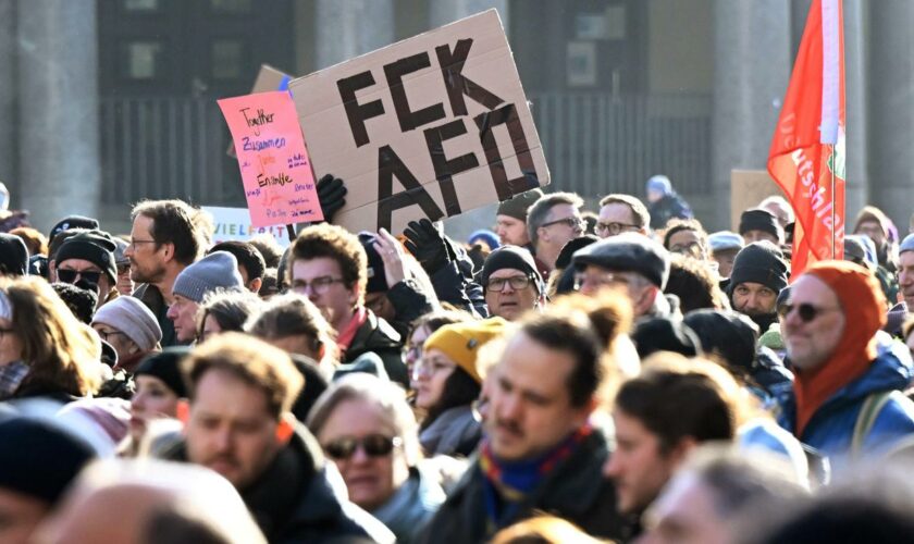 Wahlkampf: Tausende demonstrieren gegen "Abschiebetickets" der AfD