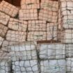 Martinique : 9 tonnes de cocaïne saisies aux abords de l’île