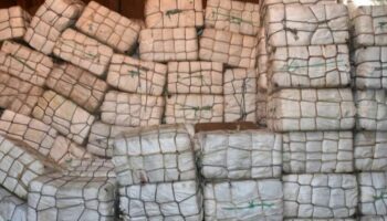 Martinique : 9 tonnes de cocaïne saisies aux abords de l’île