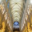 Légion d'honneur et ordre national du Mérite : une centaine d'artisans et d'entrepreneurs ayant participé au chantier de Notre-Dame de Paris décorés