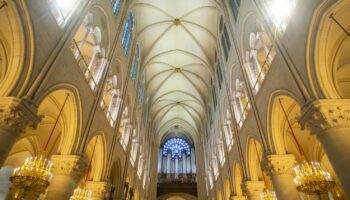 Légion d'honneur et ordre national du Mérite : une centaine d'artisans et d'entrepreneurs ayant participé au chantier de Notre-Dame de Paris décorés