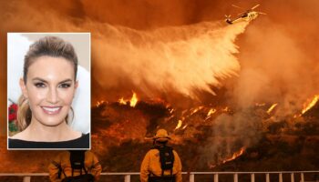 Hollywood actress calls LA Fires ‘a disaster,’ says not enough was done by elected officials