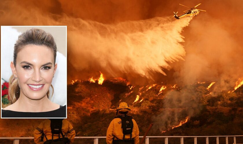 Hollywood actress calls LA Fires ‘a disaster,’ says not enough was done by elected officials