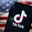 Interdiction de TikTok aux Etats-Unis : l'accès à la plateforme va être rétabli après l'annonce d'un décret de Donald Trump dès lundi