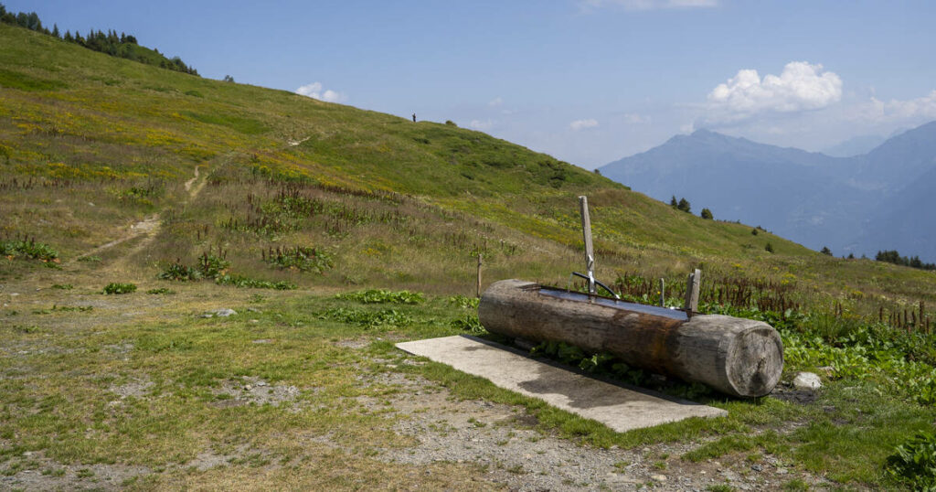 Pourquoi la consommation d’eau risque de doubler d’ici à 2050 en France