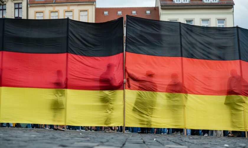 Parteienverbot: AfD-Verbotsverfahren soll nächste Woche im Bundestag diskutiert werden