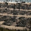 Des maisons ravagées dans le quartier de Pacific Palisades à Los Angeles, le 13 janvier 2025