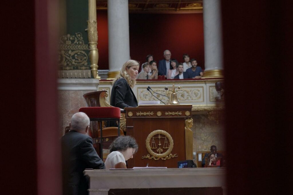 « Assemblée nationale, anatomie d’une crise », allô Parlement bobo