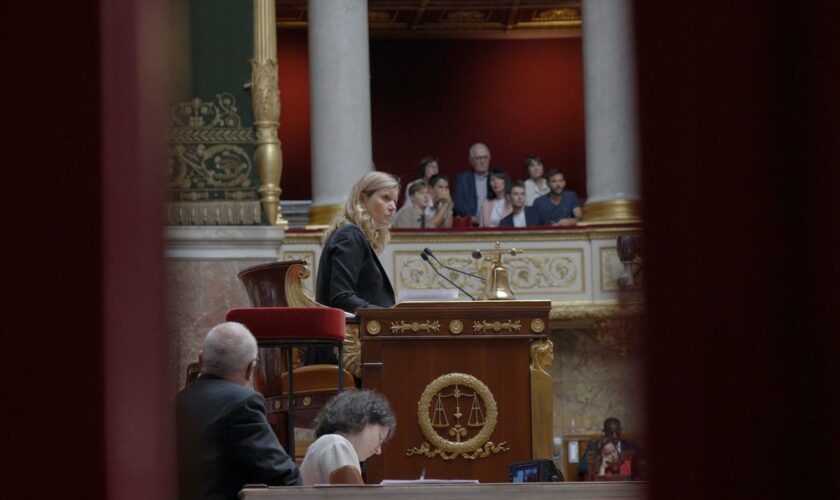 « Assemblée nationale, anatomie d’une crise », allô Parlement bobo