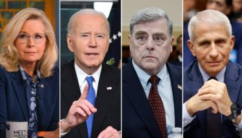 Biden's preemptive pardons for Trump critics blasted on social media