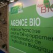 Pourquoi il faut sauver l’Agence bio