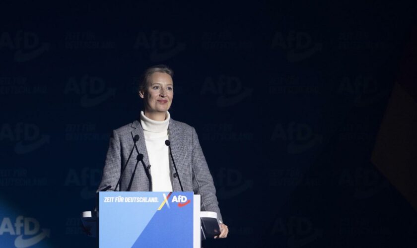 AfD : Weidel spricht sich für Einbindung von Superreichen in Regierung aus