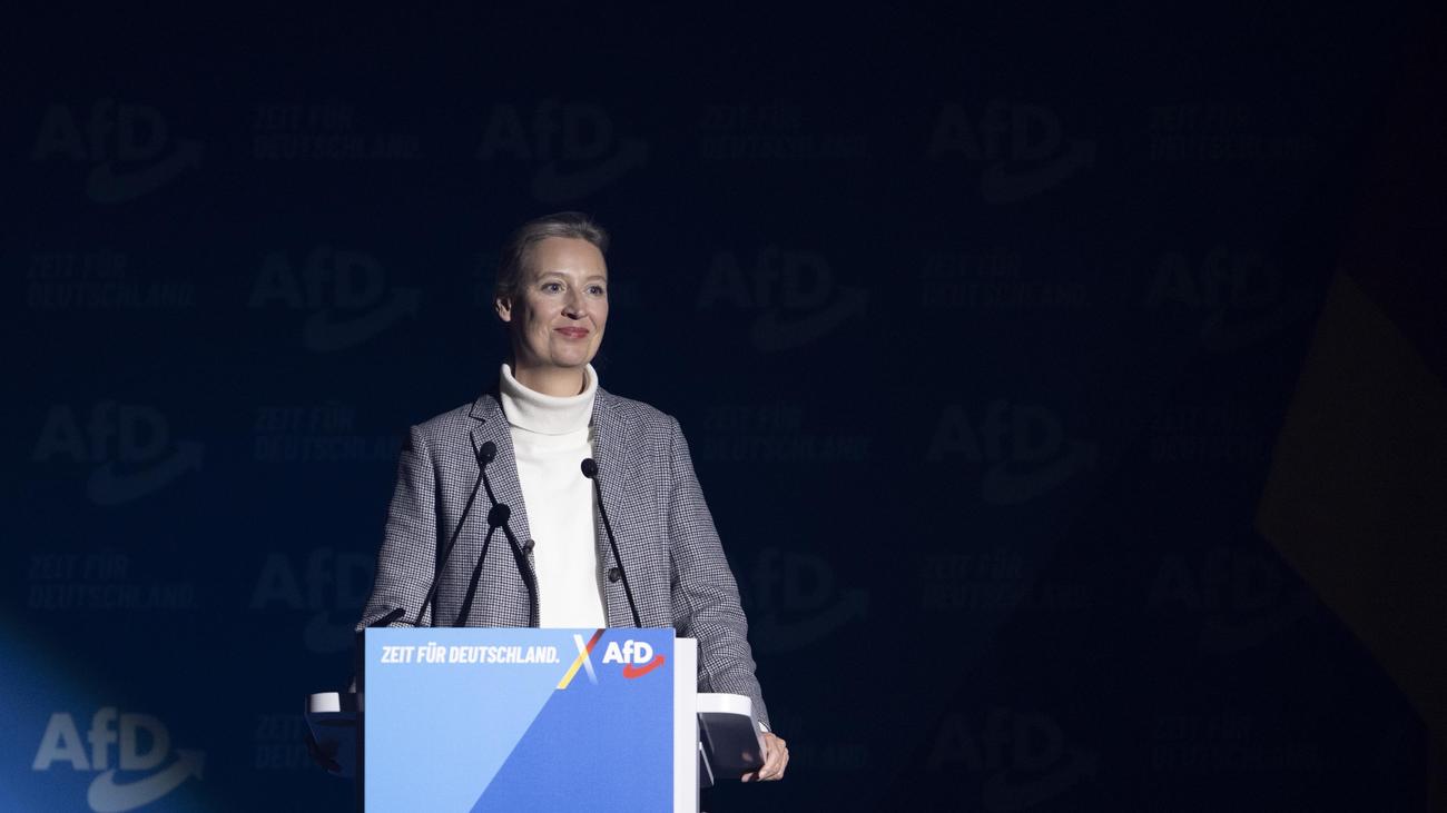 AfD : Weidel spricht sich für Einbindung von Superreichen in Regierung aus