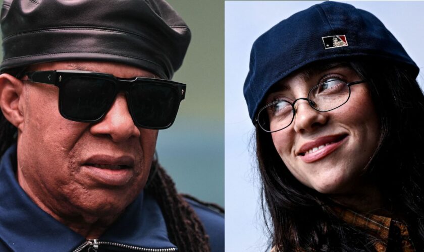 Incendies de Los Angeles : de Billie Eilish à Stevie Wonder, des dizaines d'artistes joueront au FireAid, concert de charité prévu le 30 janvier